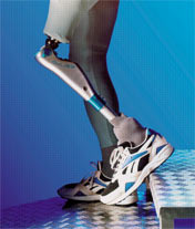Leg Prosthetic