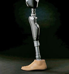 Prosthetic Leg